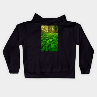 Redwood Sorrel in the Forest Kids Hoodie